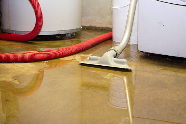Best Flood damage cleanup  in Clayton, GA