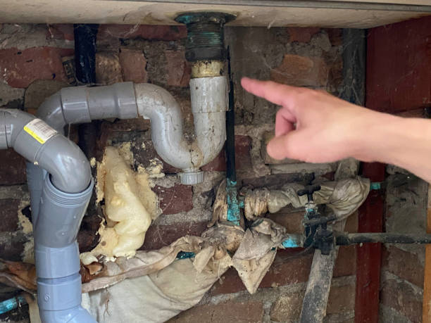 Best Water damage repair service  in Clayton, GA