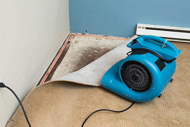 Best Water damage restoration near me  in Clayton, GA